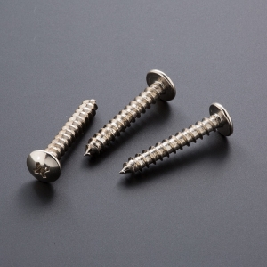 Phillips Truss Head  type AB Self-Tapping Screws Phillips Truss Head  type AB Self-Tapping Screws